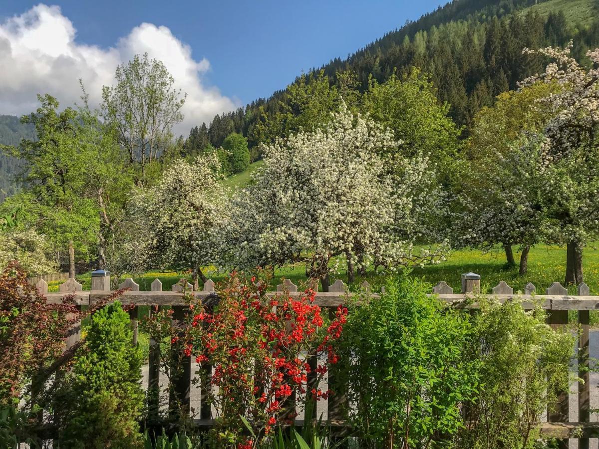 Apartmán Reinthalers Werfenweng Exteriér fotografie
